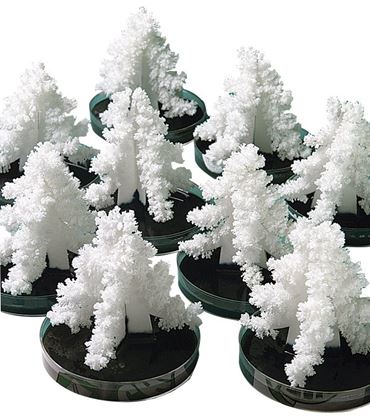 The Crystal Forest Chemistry Laboratory Kit