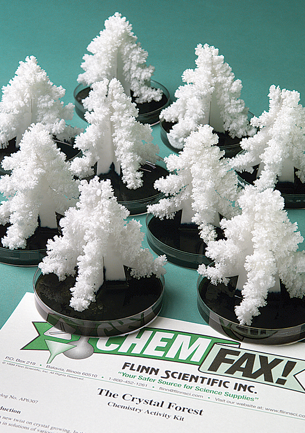 Holiday Science Experiments