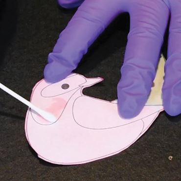 Introduction to pH Scale and Indicators – Blended Learning Solution for Chemistry, 1-Year Access