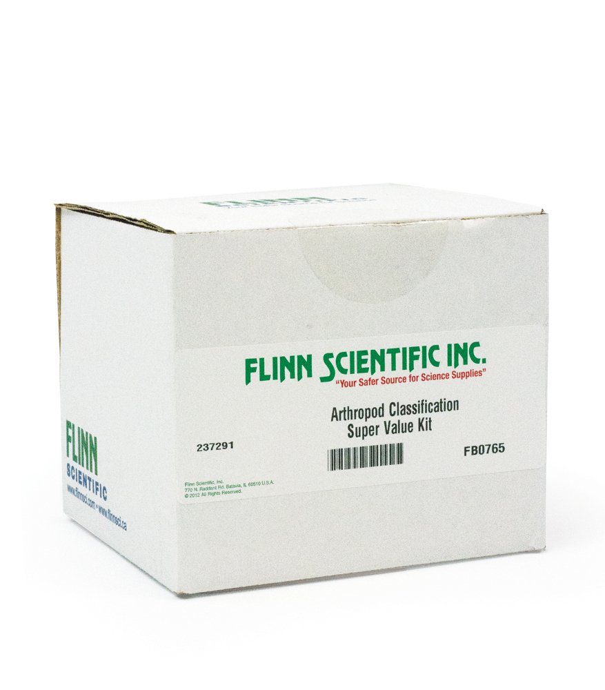 classification, characteristics, classify