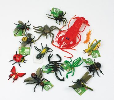 arthropods, arthropoda, arthropodes