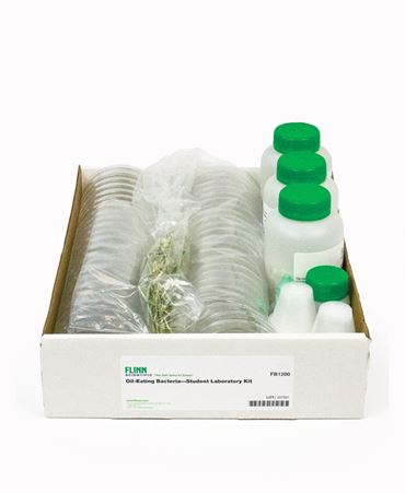 oil-eating bacteria, helpful bacteria