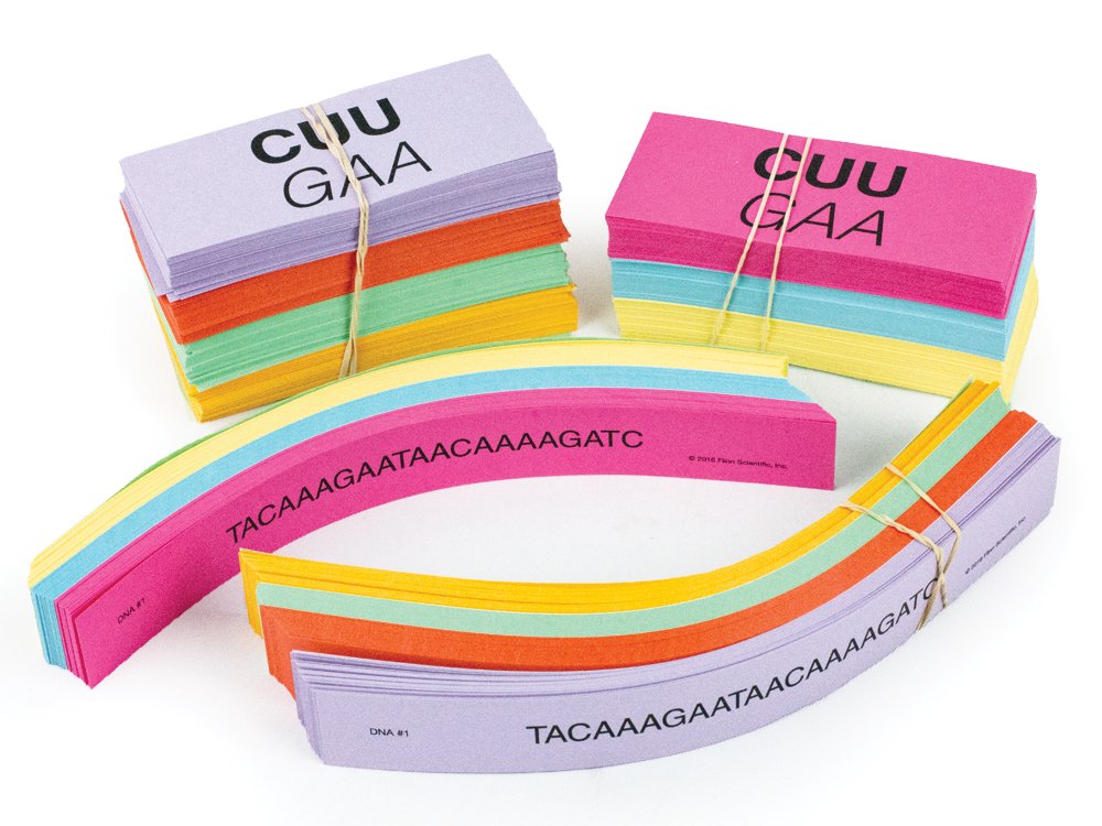 Genetic Code Activity Kit for Biology and Life Science