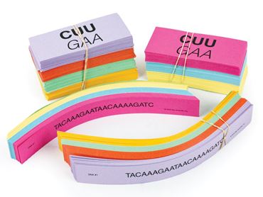 Genetic Code Activity Kit for Biology and Life Science