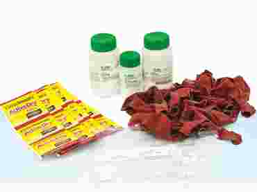 Lactose Intolerance Biochemistry Demonstration Kit