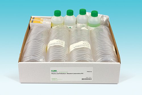 plants, seeds, radish seeds