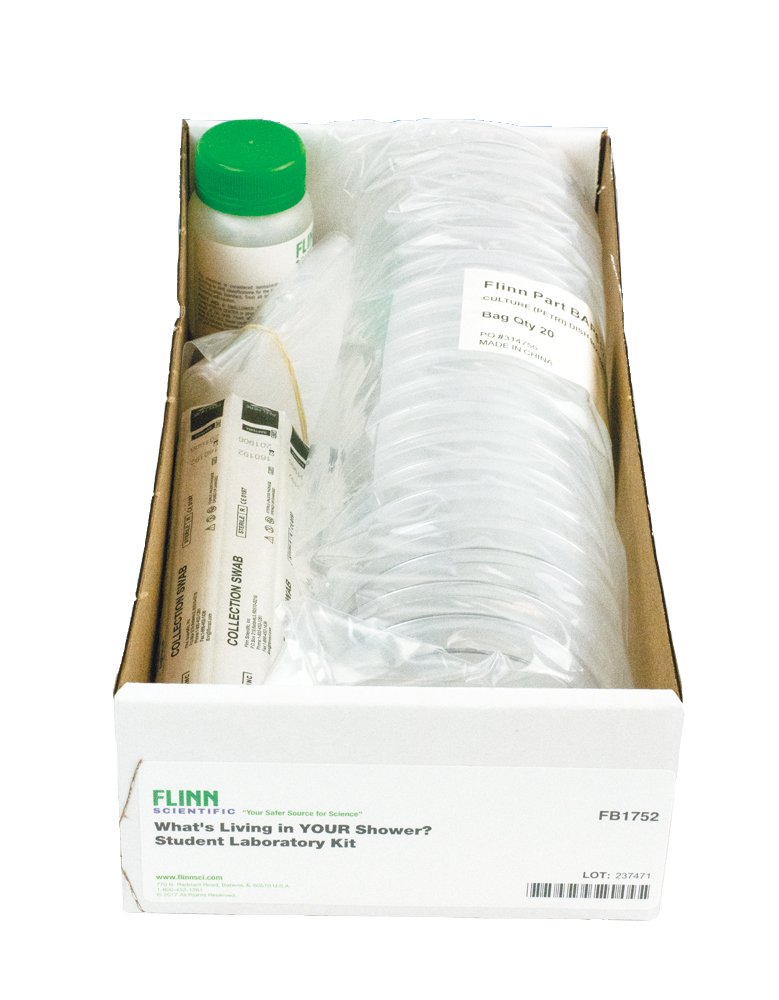 microbes, microbial growth, microbiology