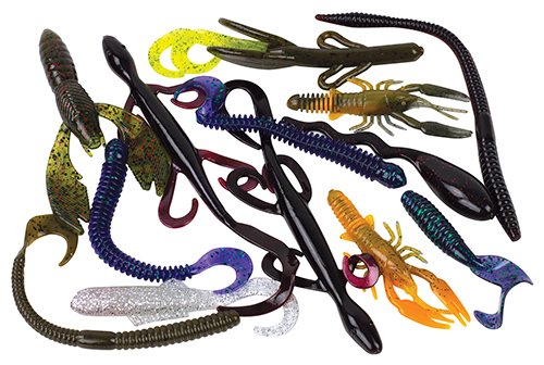 Classification & Taxonomy