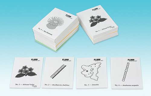 Classifying Living Things Student Activity Kit for Biology and Life Science