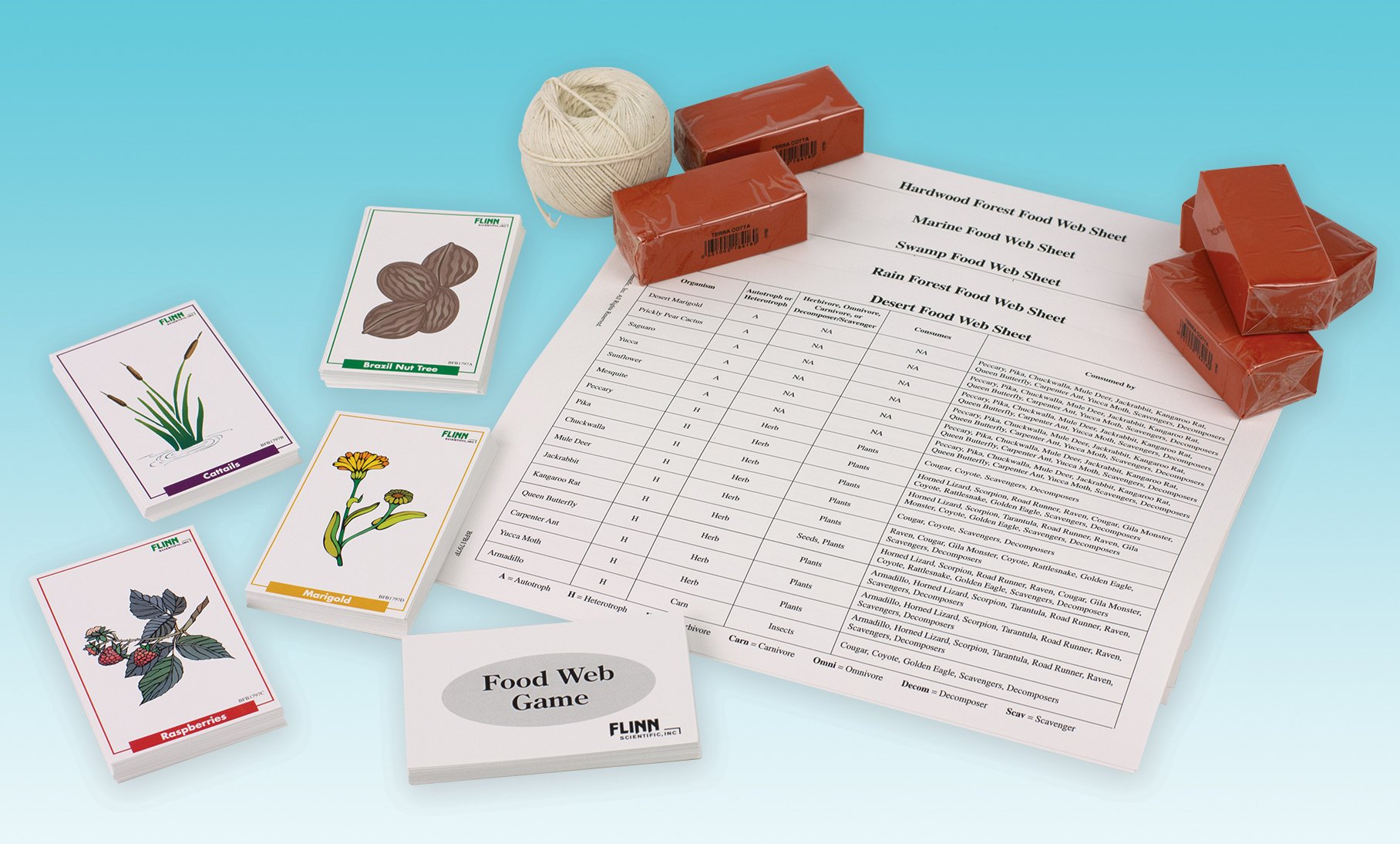 How a Food Web is Formed - Biology and Life Science Game