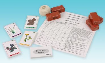 How a Food Web is Formed - Biology and Life Science Game