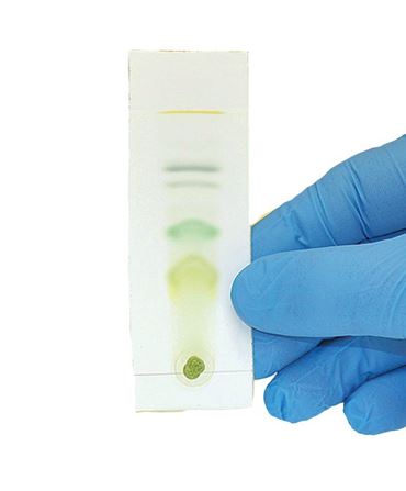 Plant Pigments and Photosynthesis Laboratory Kit for Classic AP* Biology Lab 4 (3 Groups)