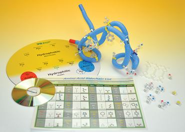 Amino Acid and Protein Folding Starter Kit for Biology Lab