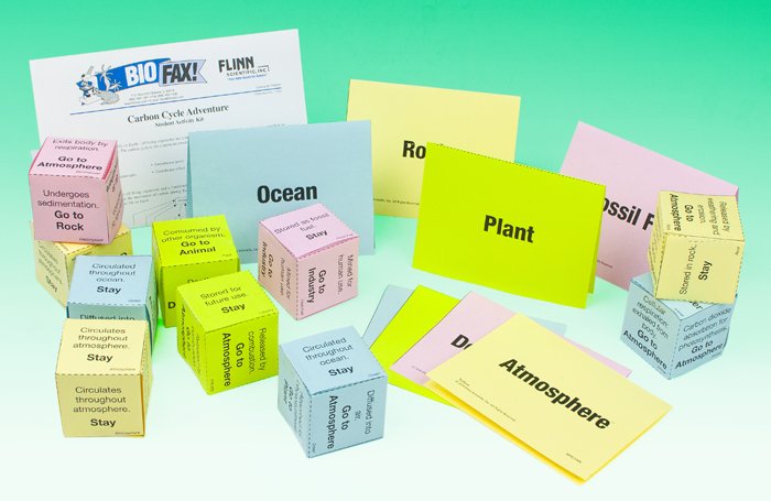 Carbon Cycle Adventure Activity Kit for Environmental Science