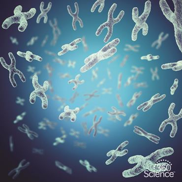 360 Science: Cancer and the Loss of Cell Cycle Control, 1-Year Access