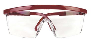 Safety Glasses for Biology and Physical Science Lab, Black