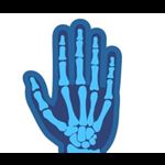 Anatomy & Physiology