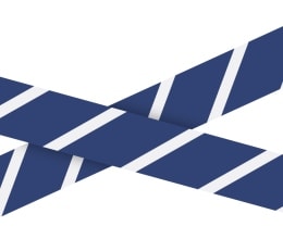 Comprehensive Crime Scene