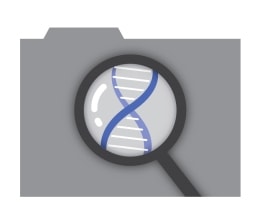 Flinn Forensic Files