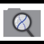 Flinn Forensic Files