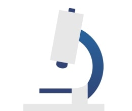 Microscopes, Stereoscopes & Slides